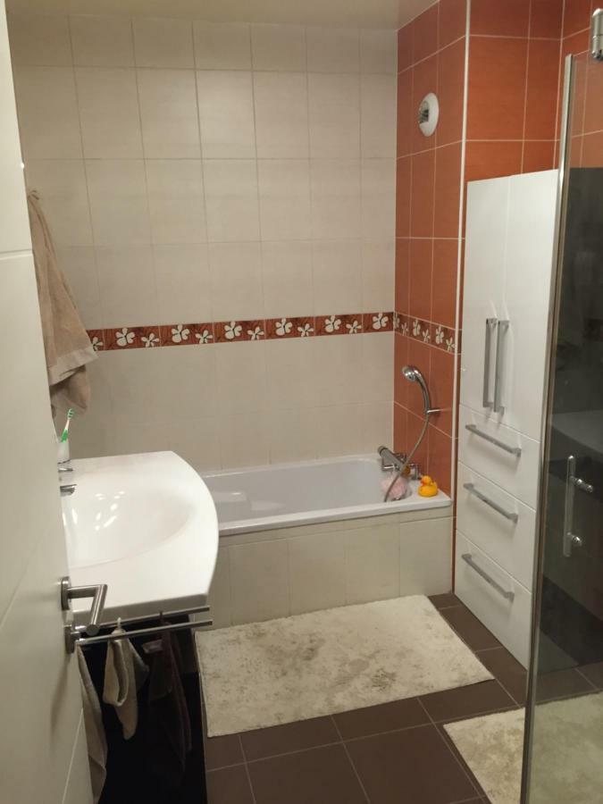 Appartement Des Trois Frontieres Apach 외부 사진